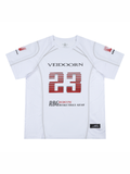 V2025Q2015DXSZ