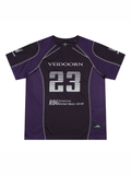 V2025Q2015DXSZ
